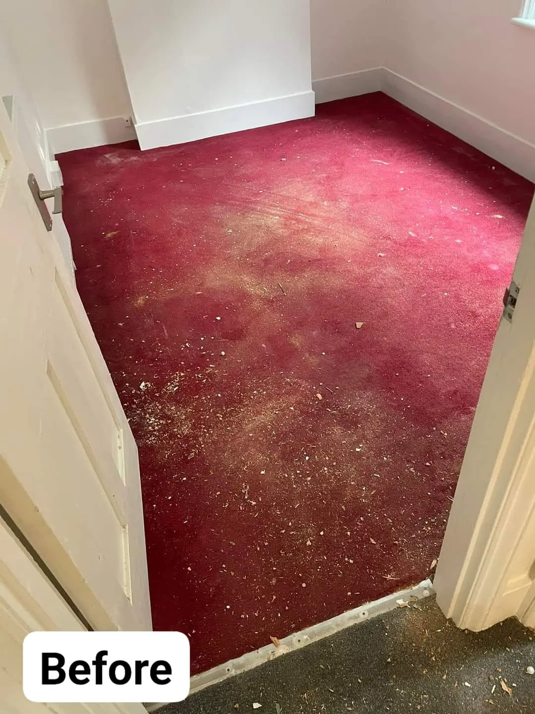 Carpet clean - before